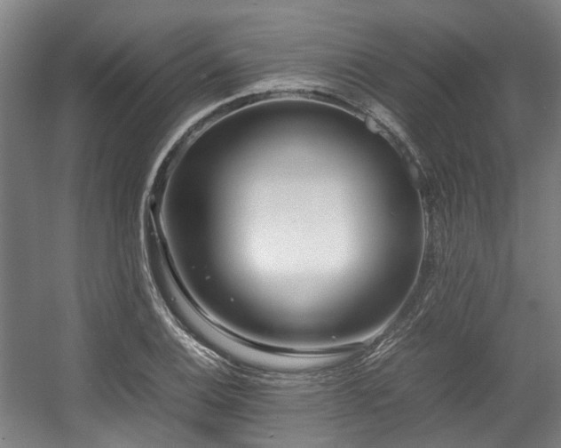 X0000057561124200509160956