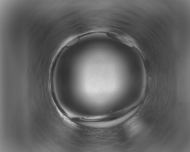 X0000057561143200509160956