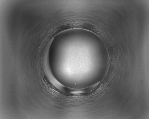 X0000057561153200509160956