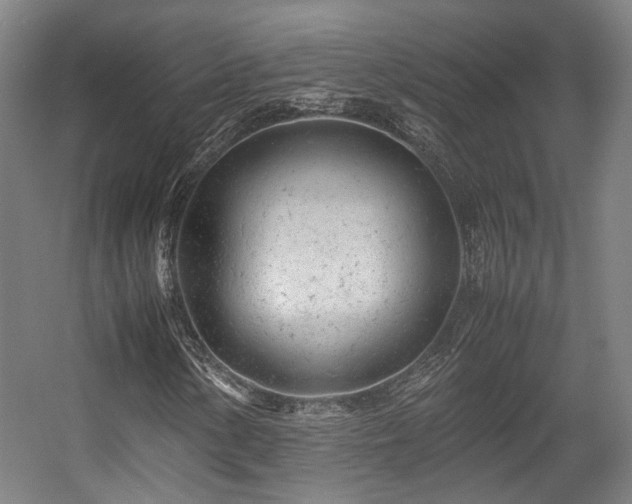 X0000057561154200509160956