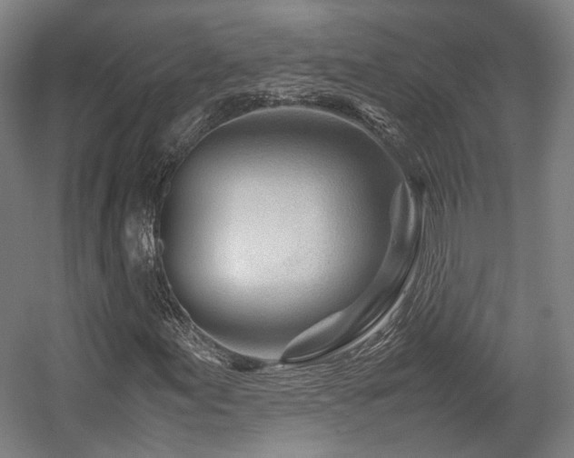 X0000057561155200509160956