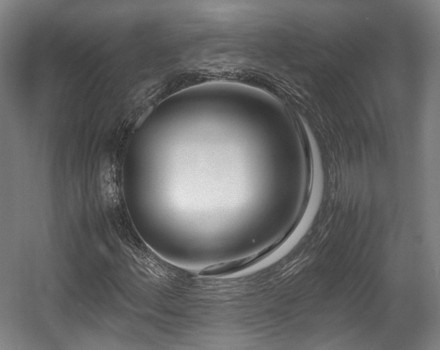 X0000057561156200509160956
