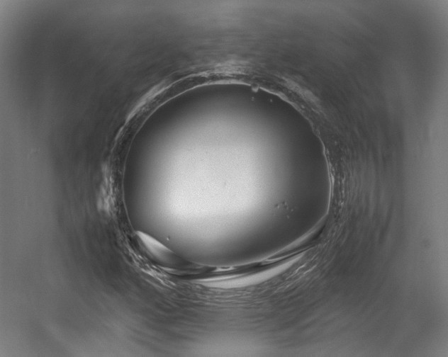 X0000057561160200509160956