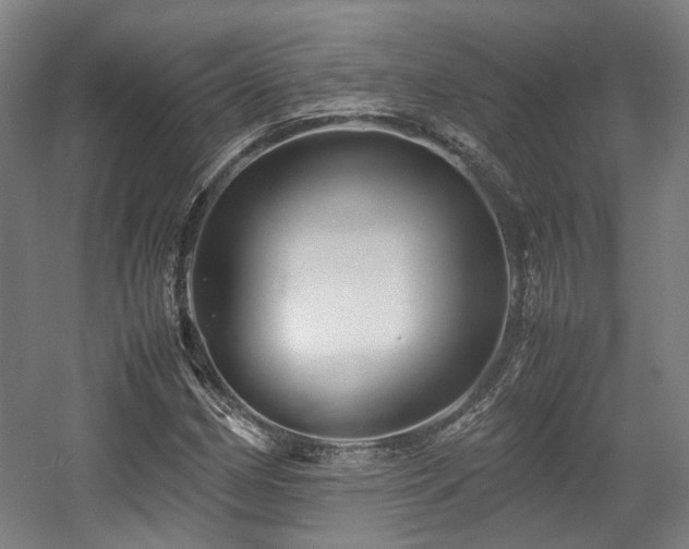 X0000057561162200509160955