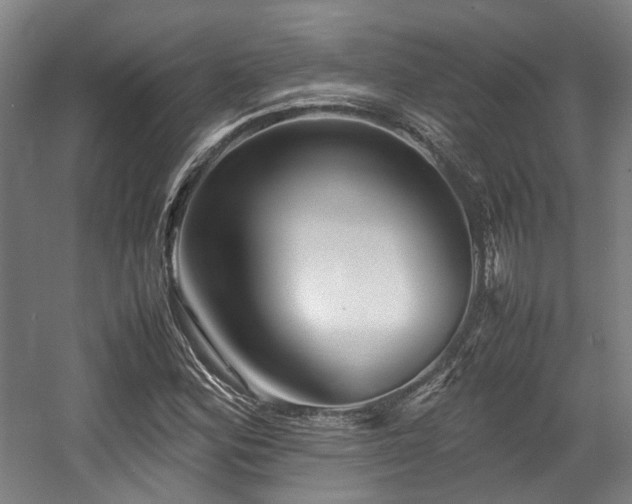X0000057561164200509160955