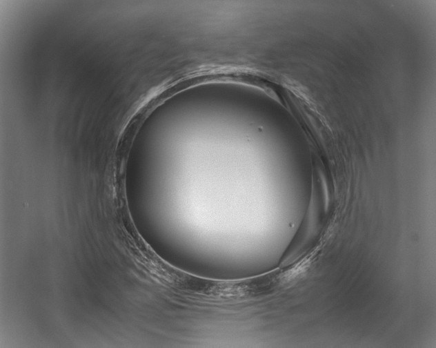X0000057561165200509160955