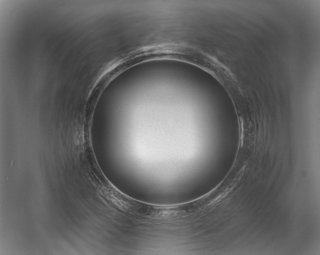 X0000057561166200509160955