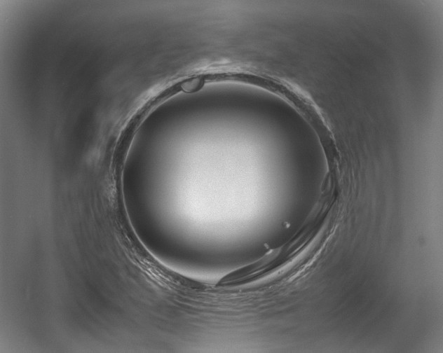 X0000057561167200509160955