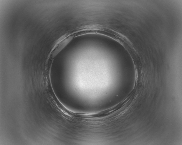 X0000057561168200509160955