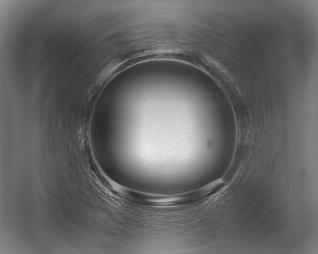 X0000057561169200509160955