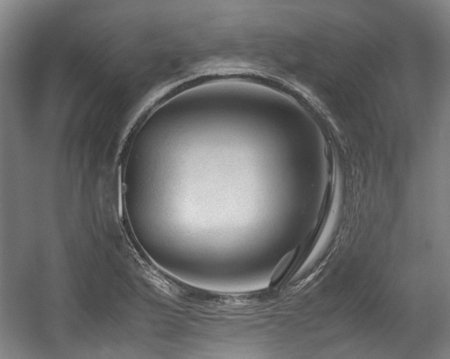 X0000057561175200509160955