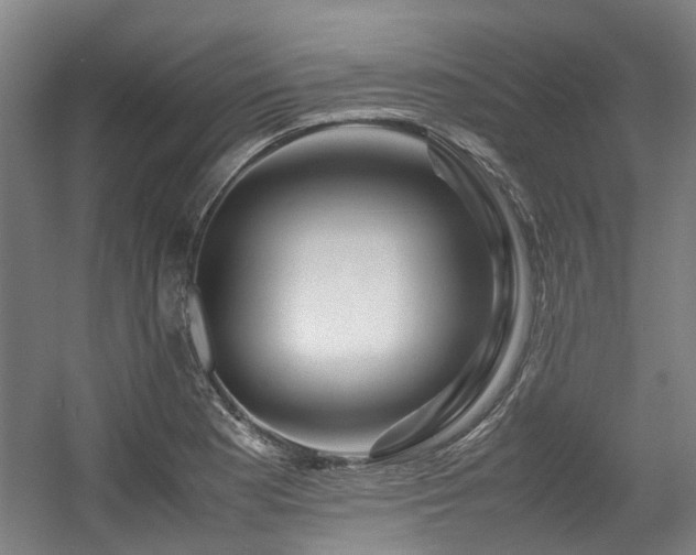 X0000057561177200509160955