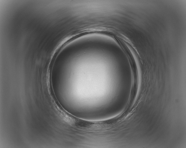 X0000057561179200509160955