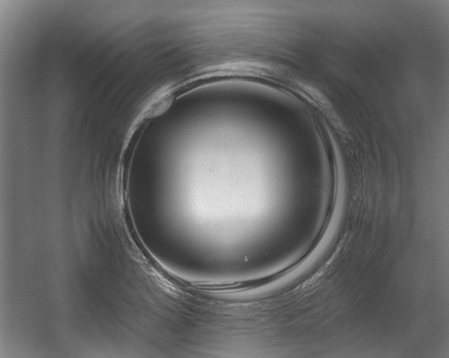 X0000057561180200509160955