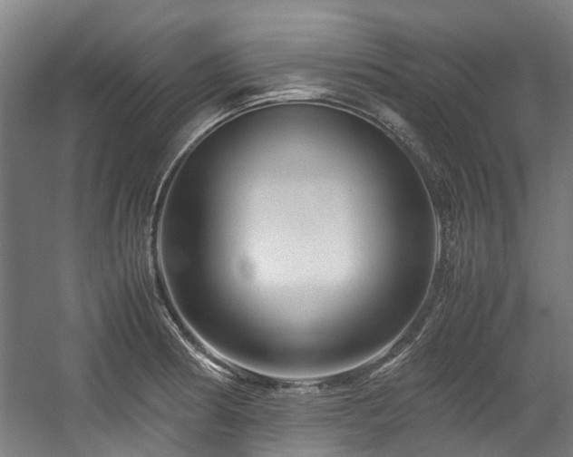 X0000057561186200509160955