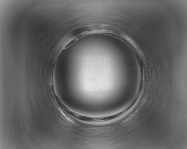 X0000057561193200509160955