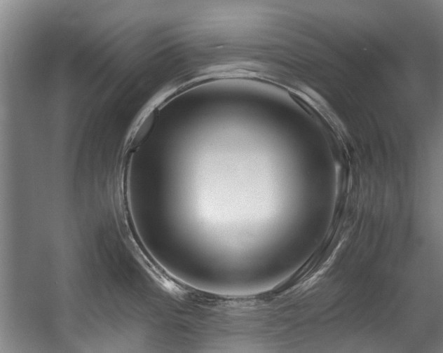 X0000057561196200509160955