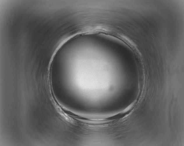 X0000057561200200509160955