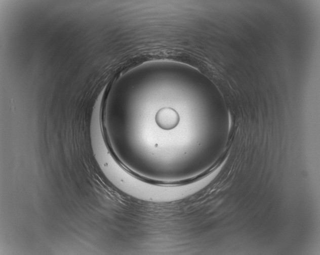 X0000057561202200509160954