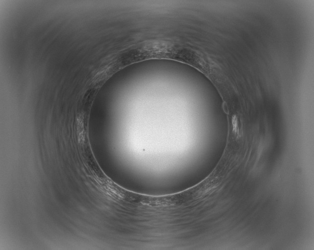 X0000057561203200509160954