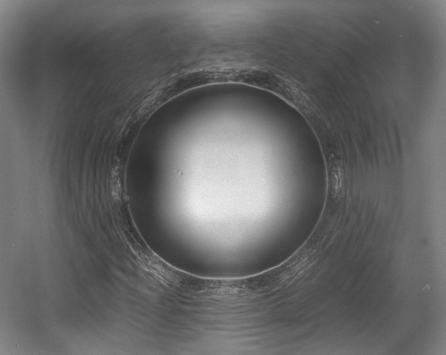 X0000057561204200509160954