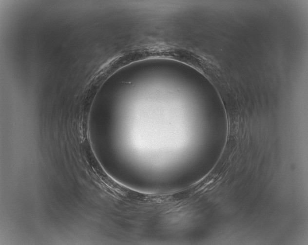 X0000057561205200509160954