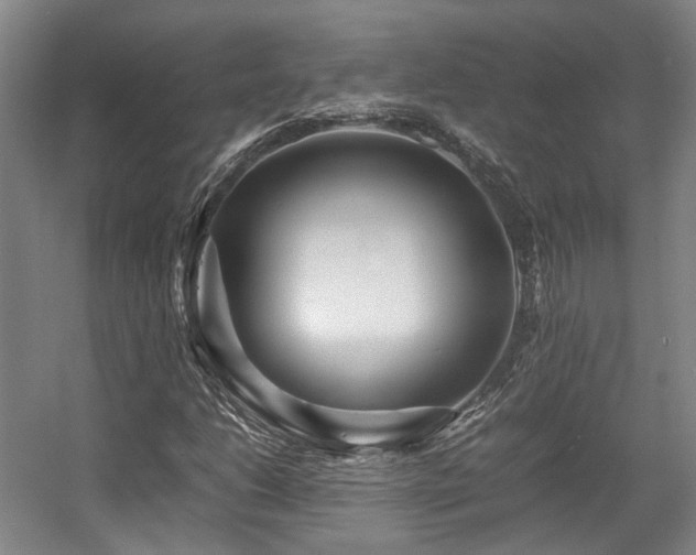 X0000057561206200509160954