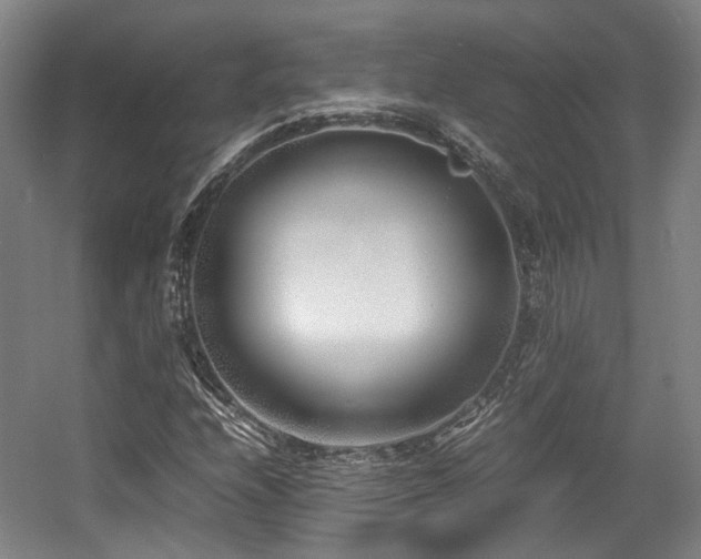 X0000057561208200509160954