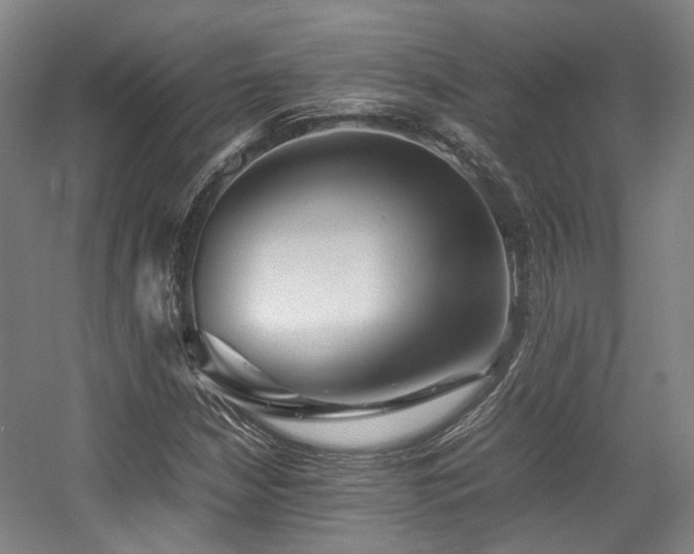 X0000057561210200509160954