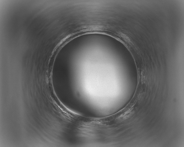 X0000057561212200509160954