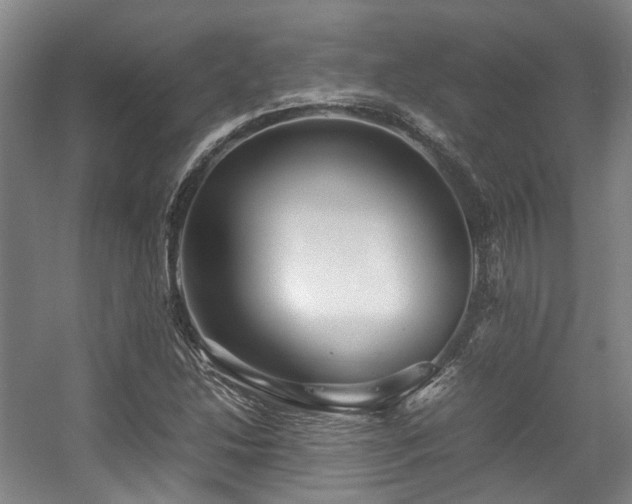 X0000057561214200509160954