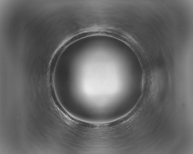 X0000057561216200509160954