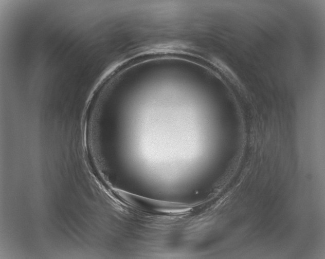 X0000057561224200509160954