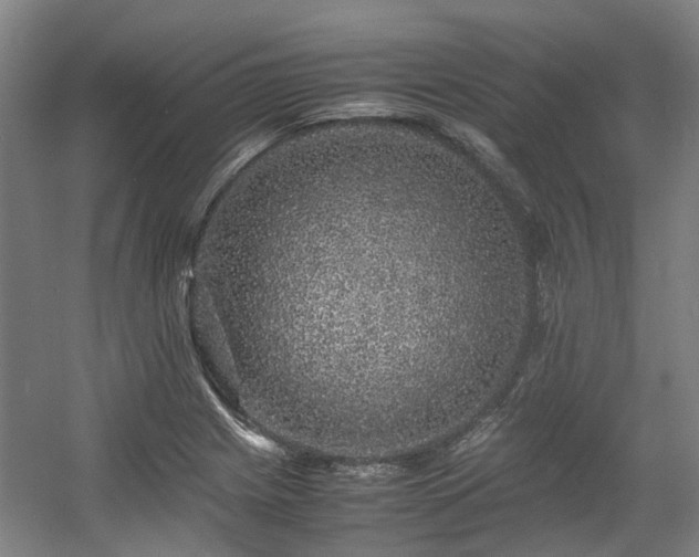 X0000057561225200509160954