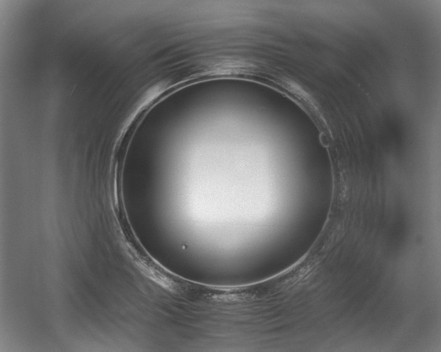 X0000057561227200509160954