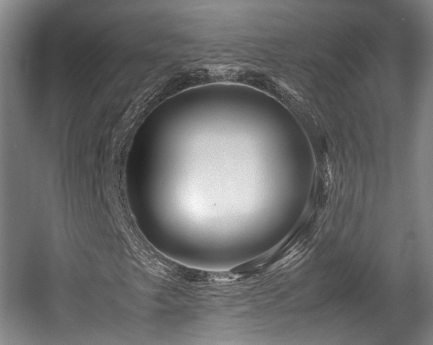 X0000057561249200509160954
