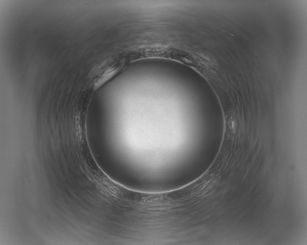 X0000057561252200509160954