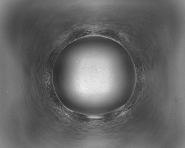 X0000057561253200509160954