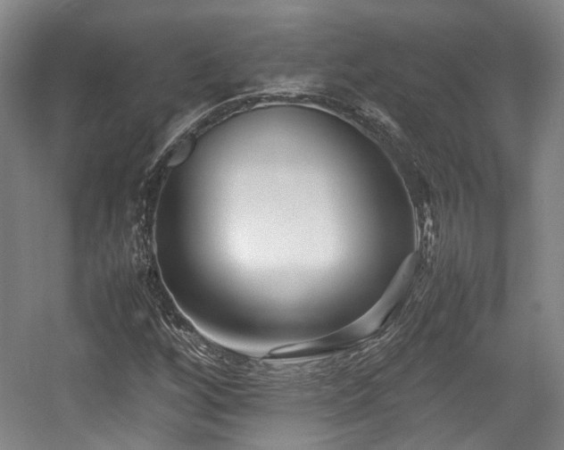 X0000057561256200509160954