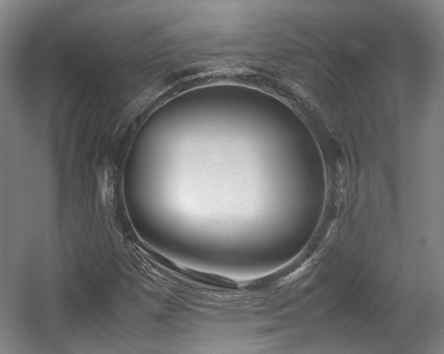 X0000057561257200509160954