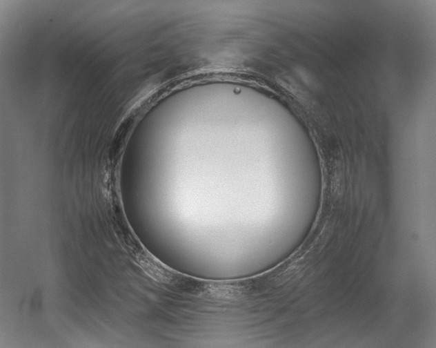 X0000057561258200509160954