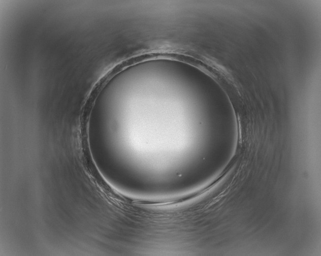 X0000057561264200509160954
