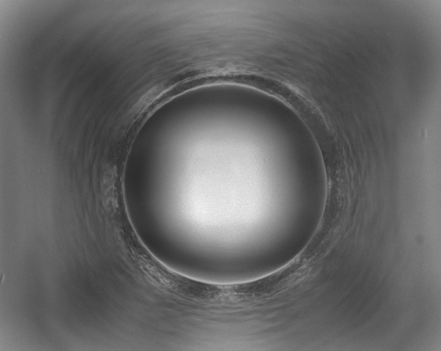 X0000057561265200509160954
