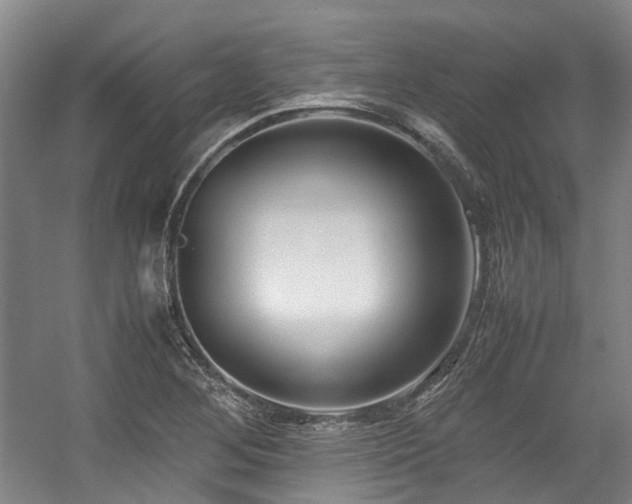 X0000057561268200509160954
