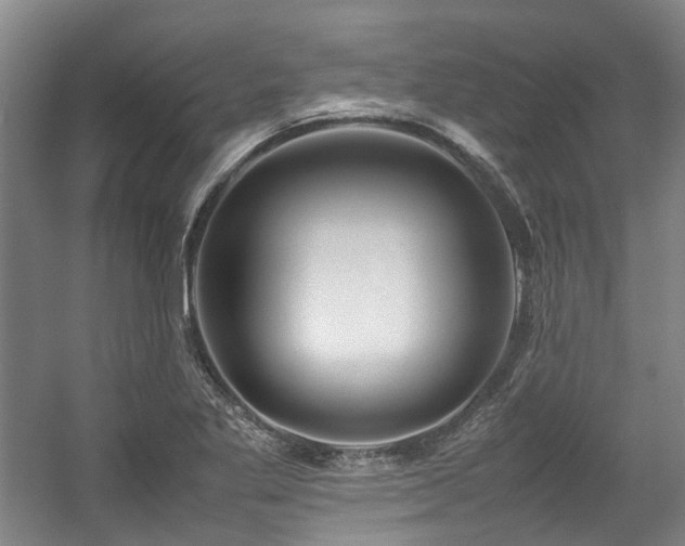 X0000057561269200509160954