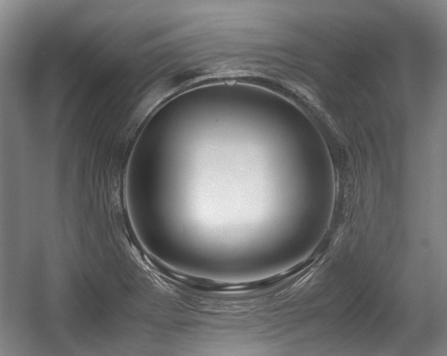 X0000057561273200509160954