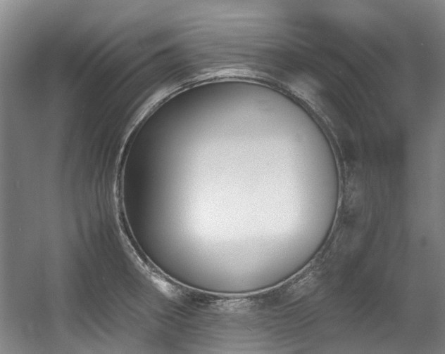 X0000057561282200509160953