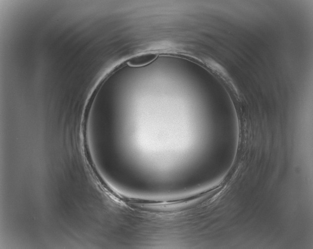 X0000057561288200509160953