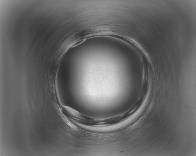 X0000057561289200509160953
