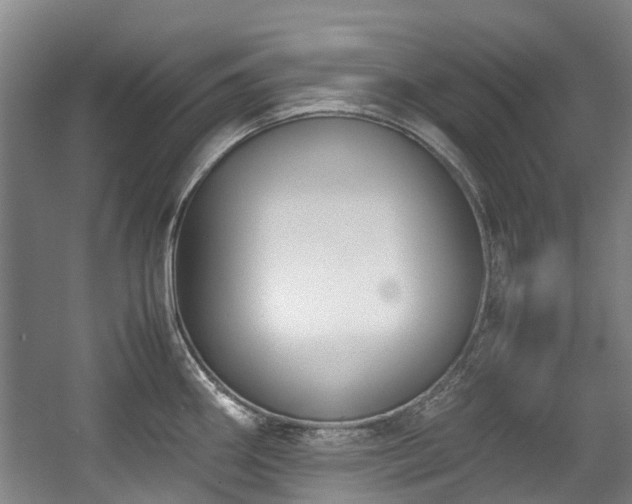 X0000057561290200509160953